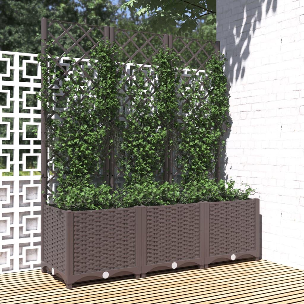 Plantekasse med espalier 120x40x136 cm PP brun Plantekasse med espalier 120x40x136 cm PP brun