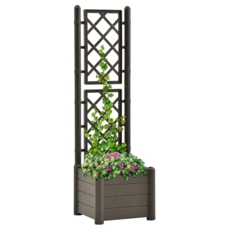 Plantekasse med espalier 43x43x142 cm PP antracitgrå