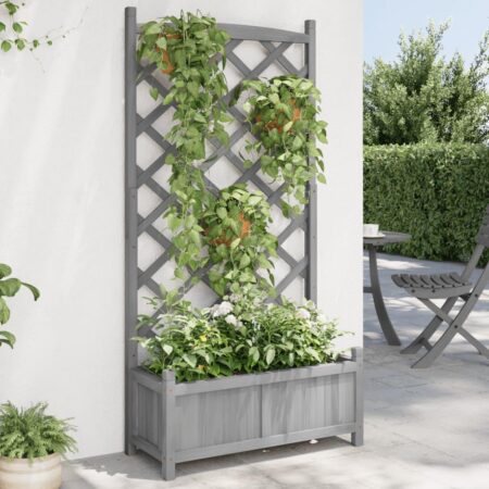 Plantekasse med espalier i massivt grantræ - grå, 75×35×150 cm
