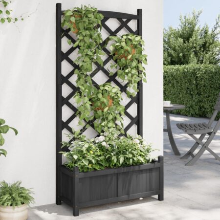 Plantekasse med espalier i massivt grantræ - sort, 75 × 35 × 150 cm