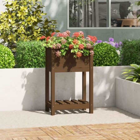 Plantekasse med hylde 54x34,5x81 cm massivt fyrretræ gyldenbrun