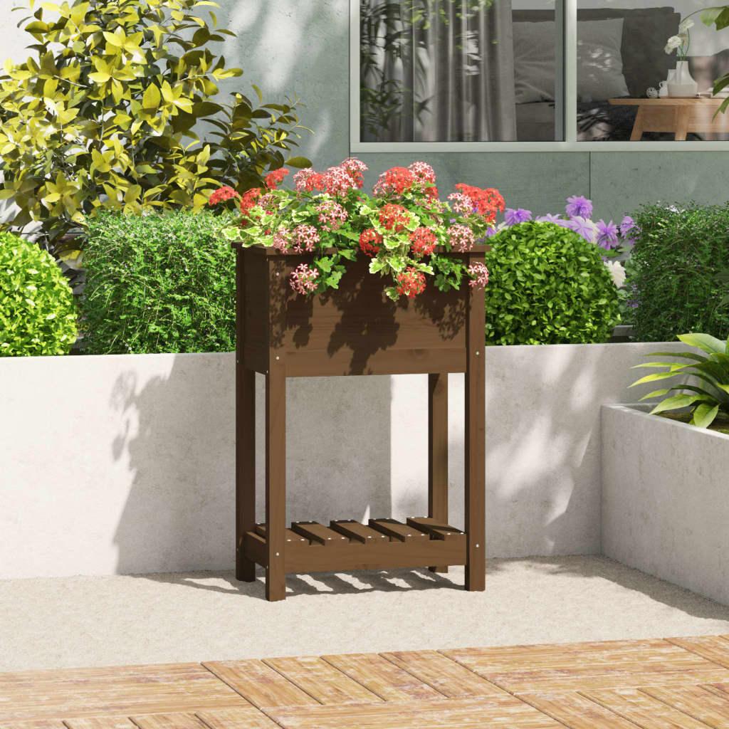 Plantekasse med hylde 54x34,5x81 cm massivt fyrretræ gyldenbrun Plantekasse med hylde 54x34,5x81 cm massivt fyrretræ gyldenbrun