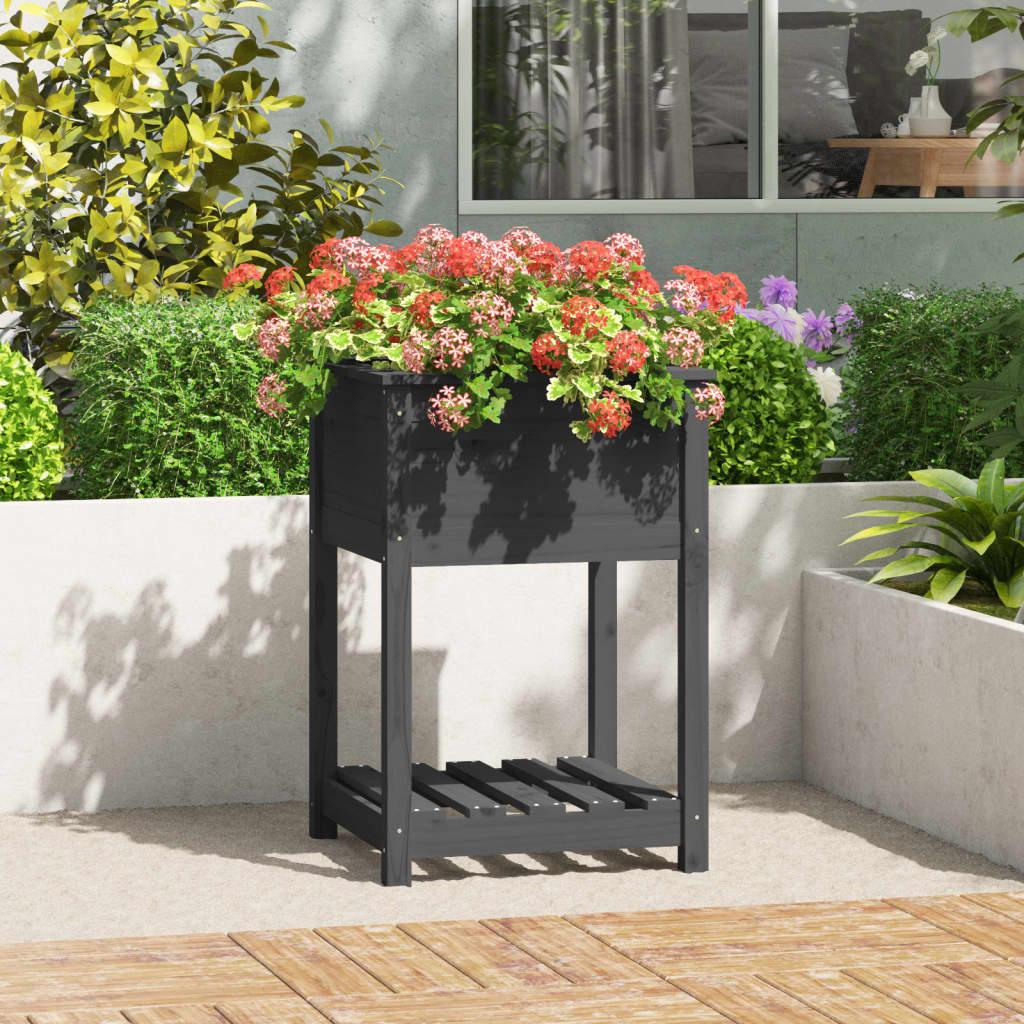 Plantekasse med hylde 54x54x81 cm massivt fyrretræ grå Plantekasse med hylde 54x54x81 cm massivt fyrretræ grå