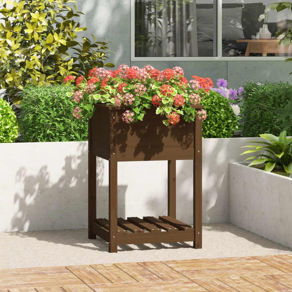 Plantekasse med hylde 54x54x81 cm massivt fyrretræ gyldenbrun Plantekasse med hylde 54x54x81 cm massivt fyrretræ gyldenbrun