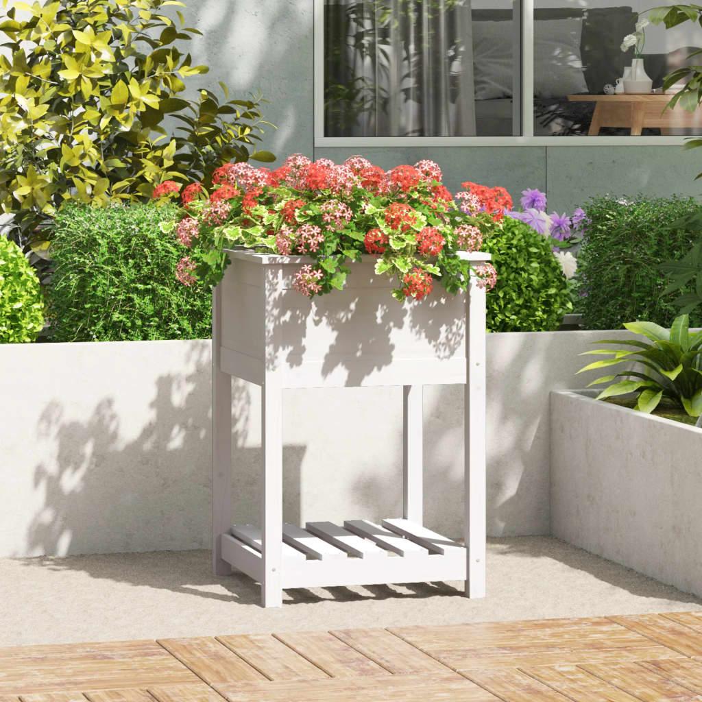 Plantekasse med hylde 54x54x81 cm massivt fyrretræ hvid Plantekasse med hylde 54x54x81 cm massivt fyrretræ hvid