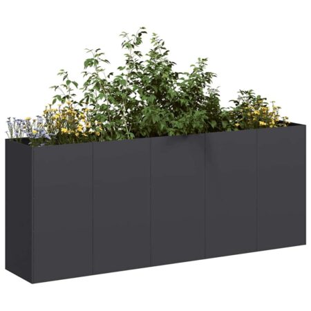Plantekasse sort 200x40x80 cm koldvalset stål
