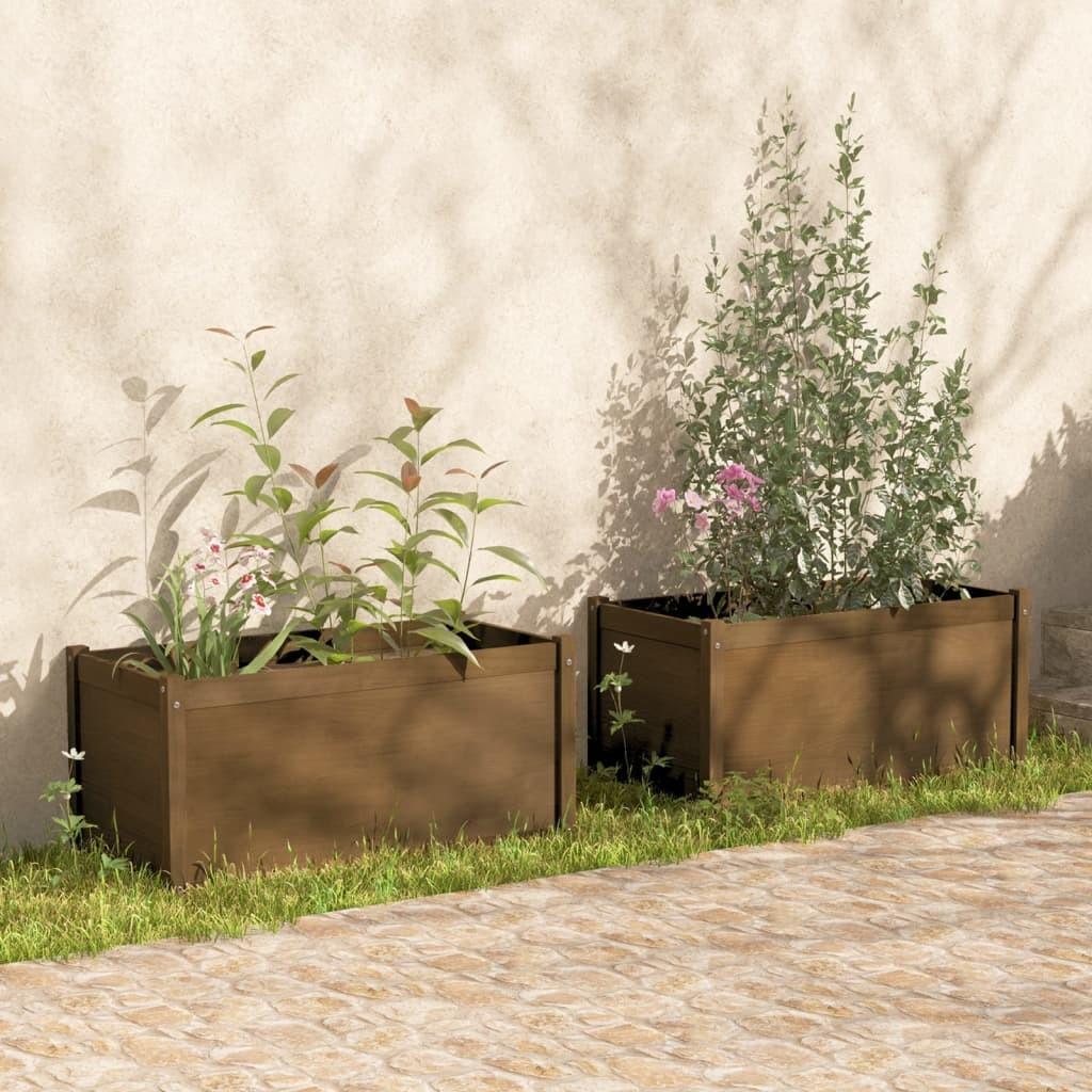 Plantekasser 2 stk. 100x50x50 cm massivt fyrretræ gyldenbrun Plantekasser 2 stk. 100x50x50 cm massivt fyrretræ gyldenbrun