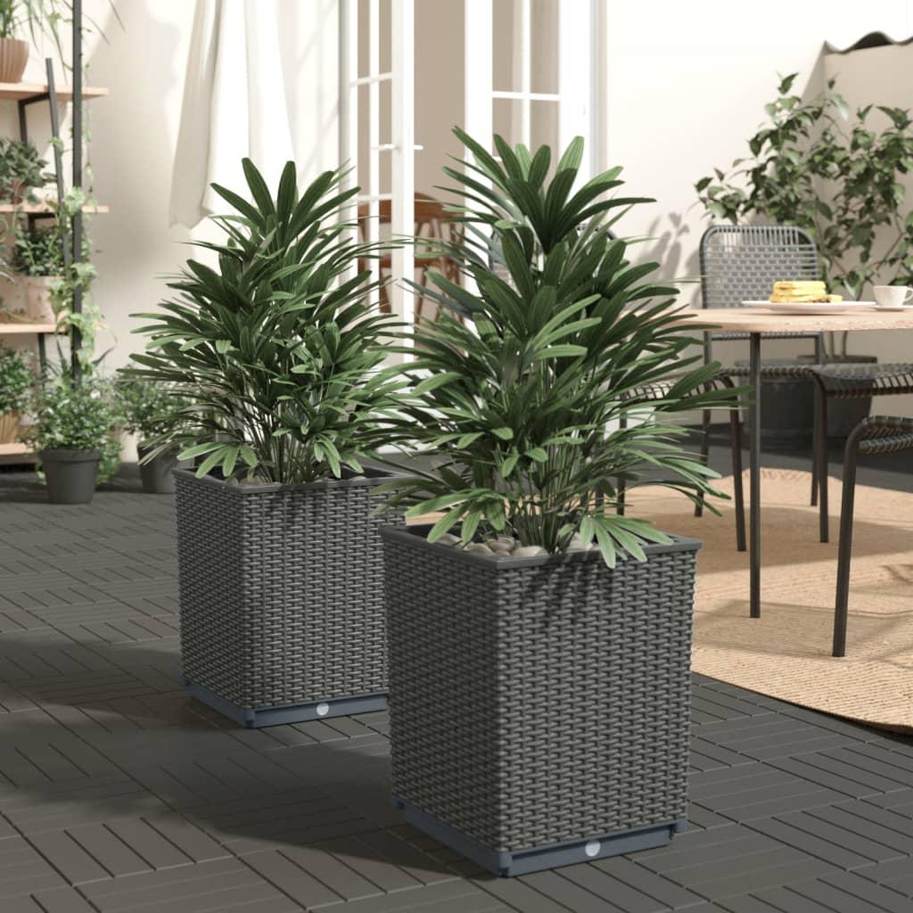 Plantekasser 2 stk. 30x30x37 cm polypropylen sort Plantekasser 2 stk. 30x30x37 cm polypropylen sort