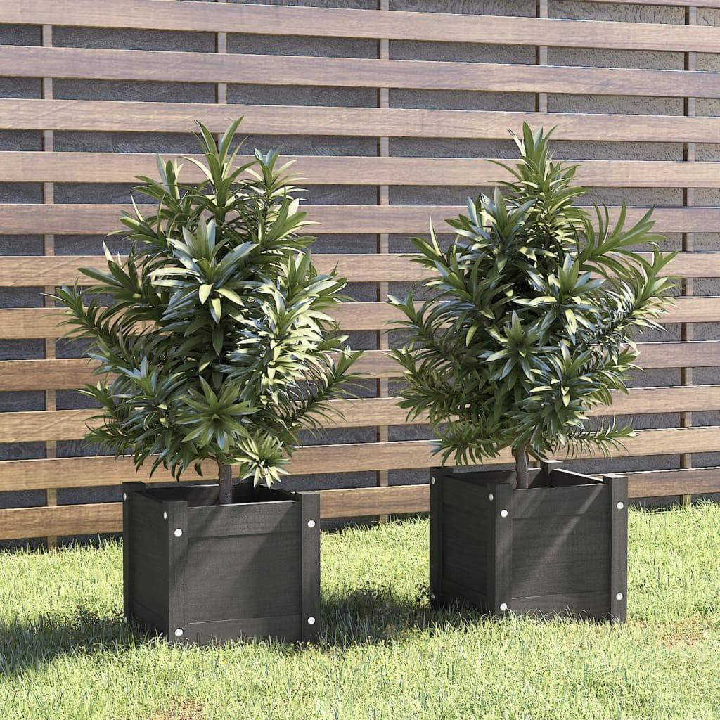 Plantekasser 2 stk. 31x31x31 cm massivt fyrretræ grå Plantekasser 2 stk. 31x31x31 cm massivt fyrretræ grå