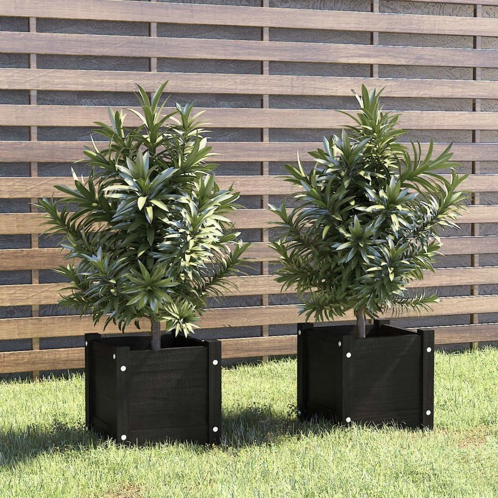 Plantekasser 2 stk. 31x31x31 cm massivt fyrretræ sort Plantekasser 2 stk. 31x31x31 cm massivt fyrretræ sort