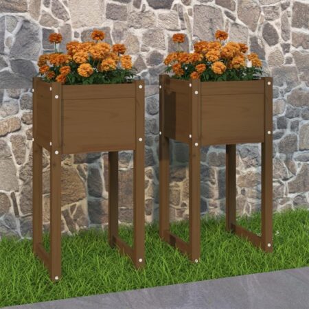 Plantekasser 2 stk. 40x40x81 cm massivt fyrretræ gyldenbrun