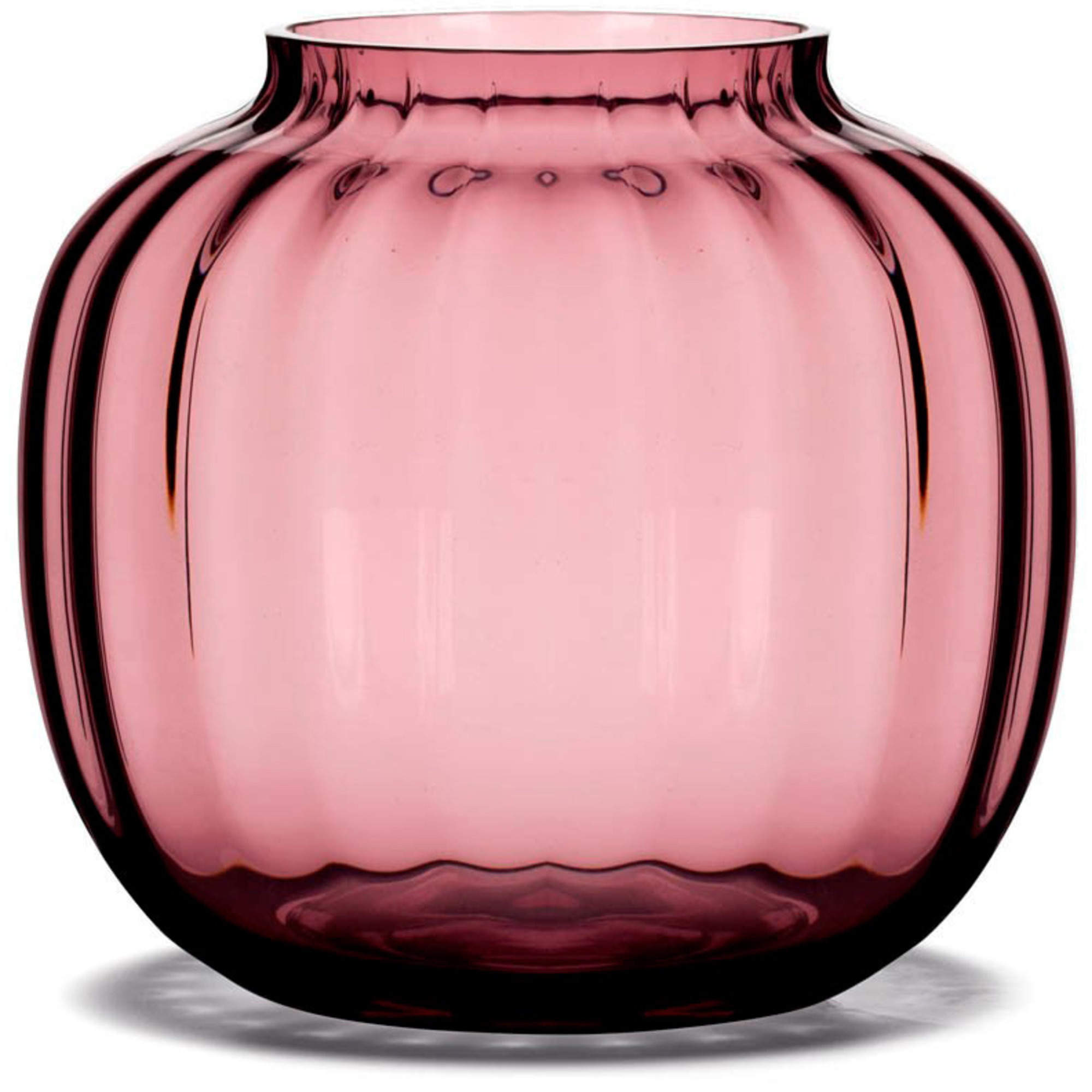 Primula vase, 12,5 cm, blomme Primula vase, 12,5 cm, blomme