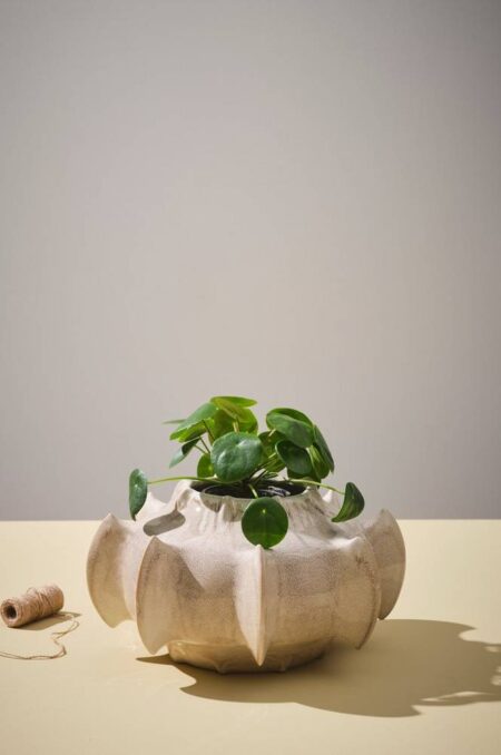 ROGUE vase/krukke - højde 21 cm Beige