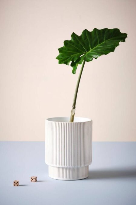 RUBY JO krukke ⌀ 21 cm Offwhite