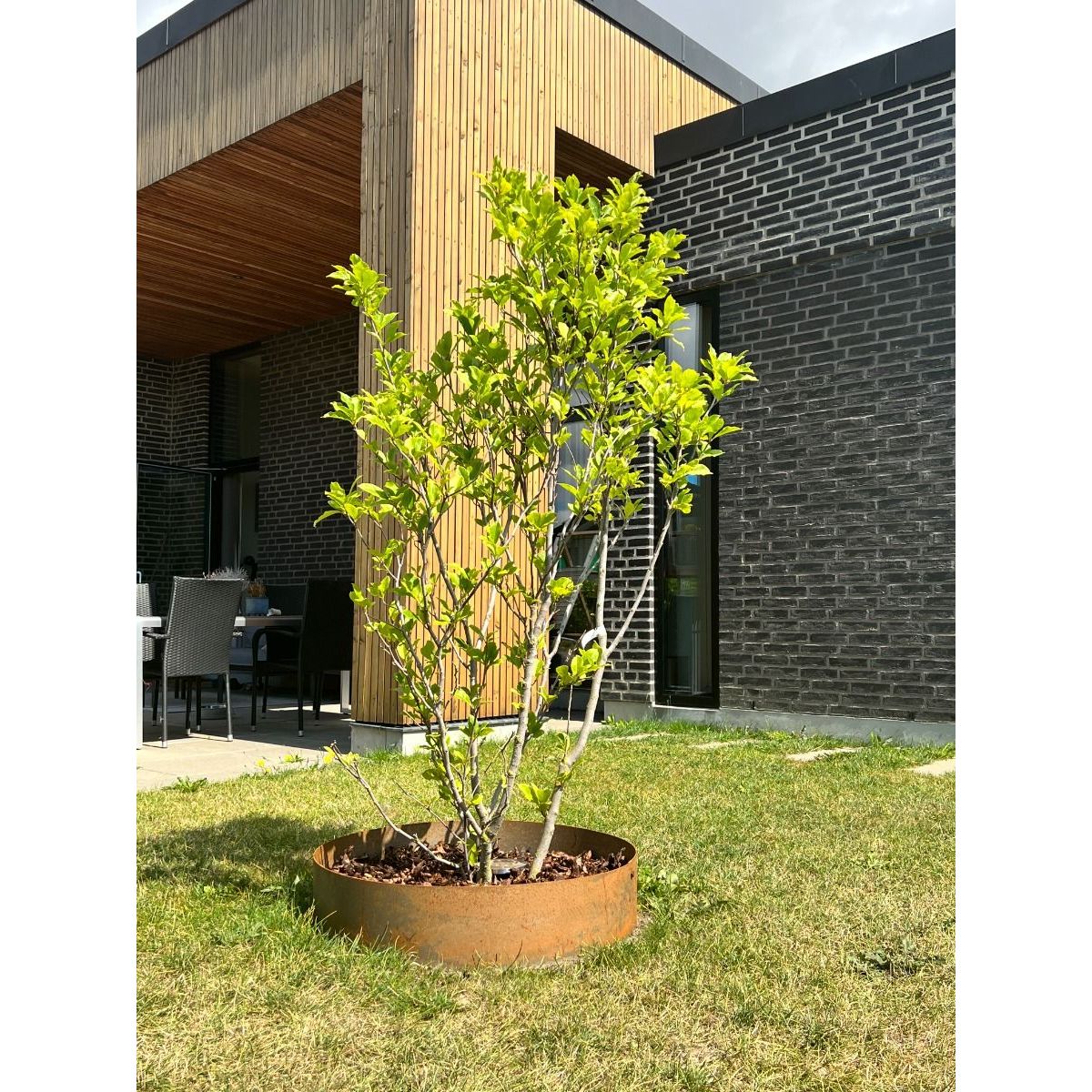 Rundt højbed Ø70, 20 cm høj | 2 mm cortenstål | Åben Rundt højbed Ø70, 20 cm høj | 2 mm cortenstål | Åben