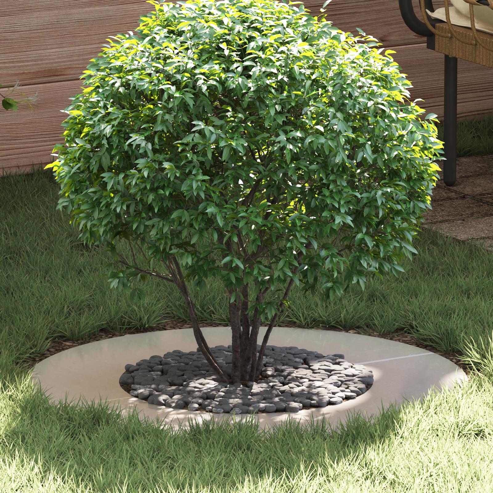 Rustfri Stål Plantekasse Rustfrit Stål Stor Holdbar Rustfri Stål Plantekasse Rustfrit Stål Stor Holdbar