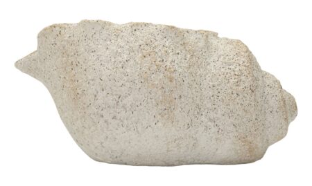 SHELL SAND VASE -B- CM 35X23X18 (ÅBNING CM Ø 17 x 14)