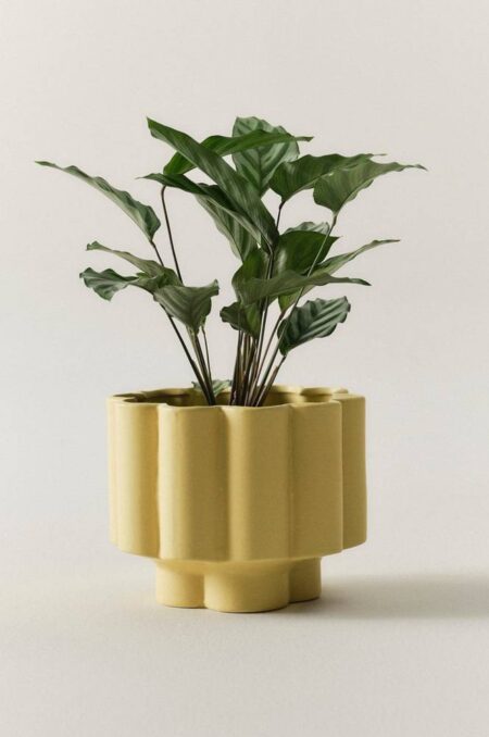 SIGFRID SOLID krukke Gul