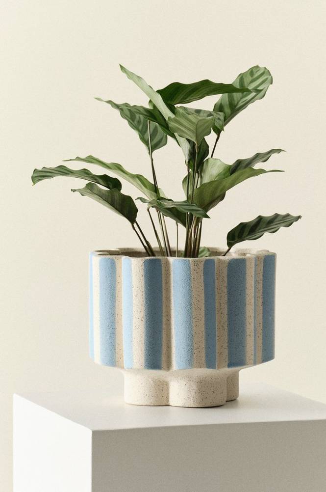 SIGFRID STRIPE krukke Blå/offwhite SIGFRID STRIPE krukke Blå/offwhite
