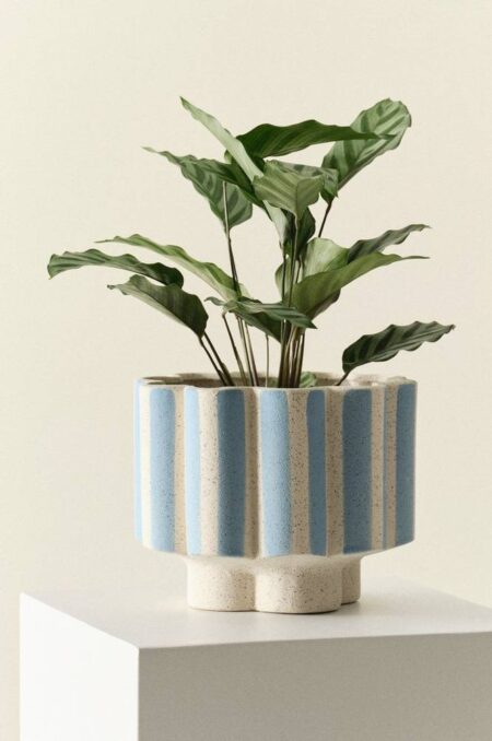 SIGFRID STRIPE krukke Blå/offwhite