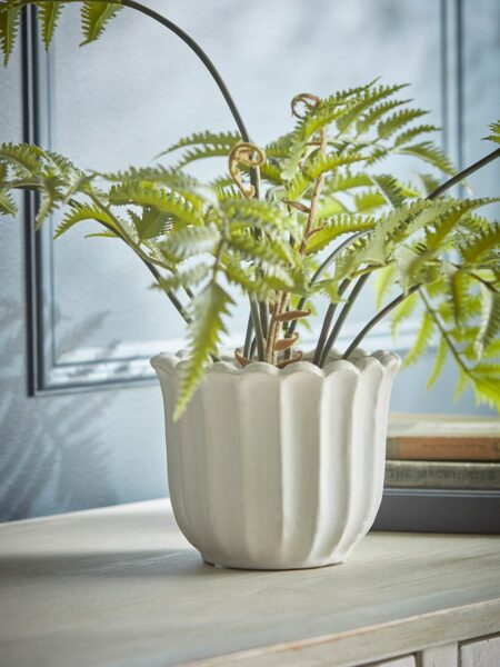Scalloped Edge Planter