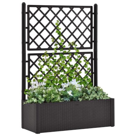Selvvandende højbed med espalier - antracitgrå, 100 × 43 × 142 cm