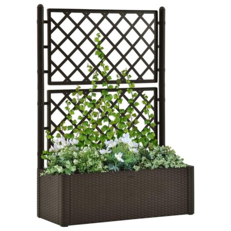 Selvvandende højbed med espalier - mokkafarvet, 100 × 43 × 142 cm
