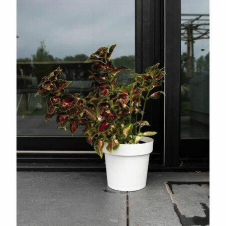 Selvvandende krukke Garden ID - hvid