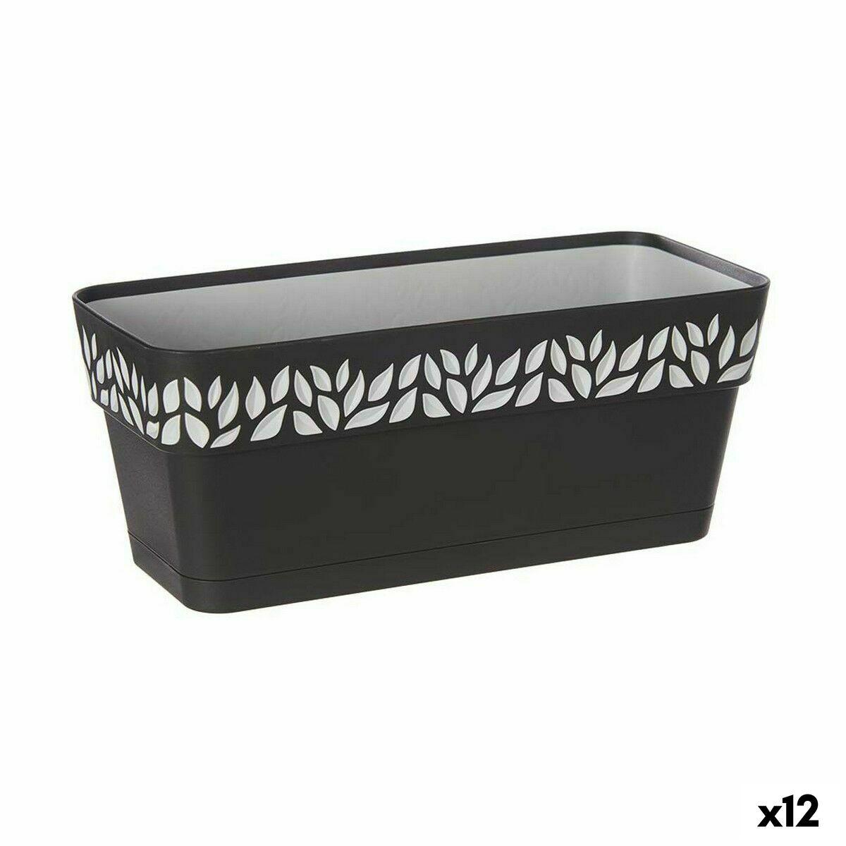 Selvvandende planter Stefanplast Cloe Antracit Plastik 13,3 x 12,3 x 29,3 cm (12 enheder) Selvvandende planter Stefanplast Cloe Antracit Plastik 13,3 x 12,3 x 29,3 cm (12 enheder)