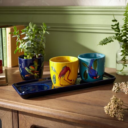 Set of 3 Exotic Birds Plant Pots on Tray MultiColoured