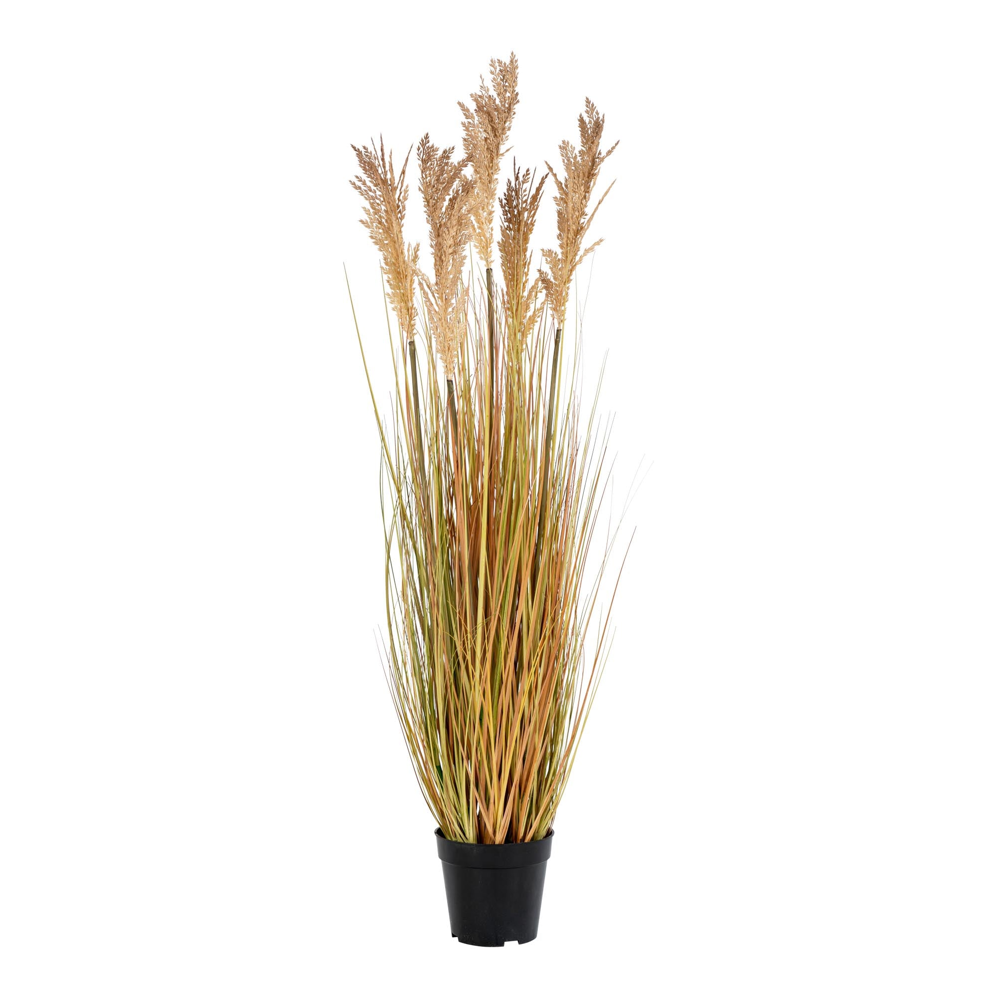 Sorghum Grass - Kunstig Plante, Natur H:110 Cm Sorghum Grass - Kunstig Plante, Natur H:110 Cm