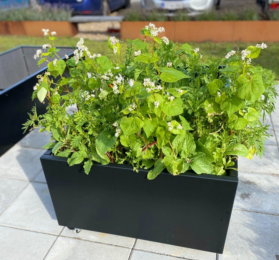 Sort plantekasse | 80 x 40 x 40 cm Sort plantekasse | 80 x 40 x 40 cm