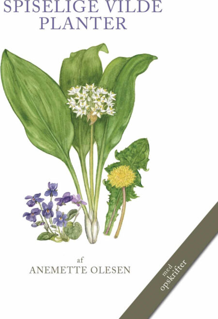 Spiselige Vilde Planter - 2. Udgave - Anemette Olesen - Bog