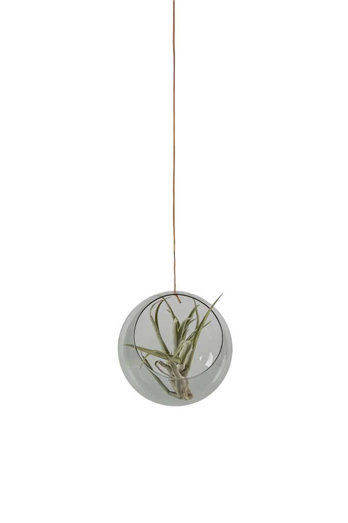 Studio About Hanging Plant Bubble Large Ø: 13,5 cm - Smoke OUTLET Studio About Hanging Plant Bubble Large Ø: 13,5 cm - Smoke OUTLET