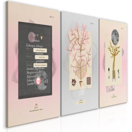 Tavla - Unusual Plants (3 Parts) - Premium print 120x60