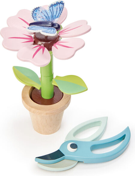 Tender Leaf - Blomst I Potte