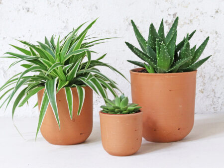 Terracotta Plant Pots - Large and Medium - U curved