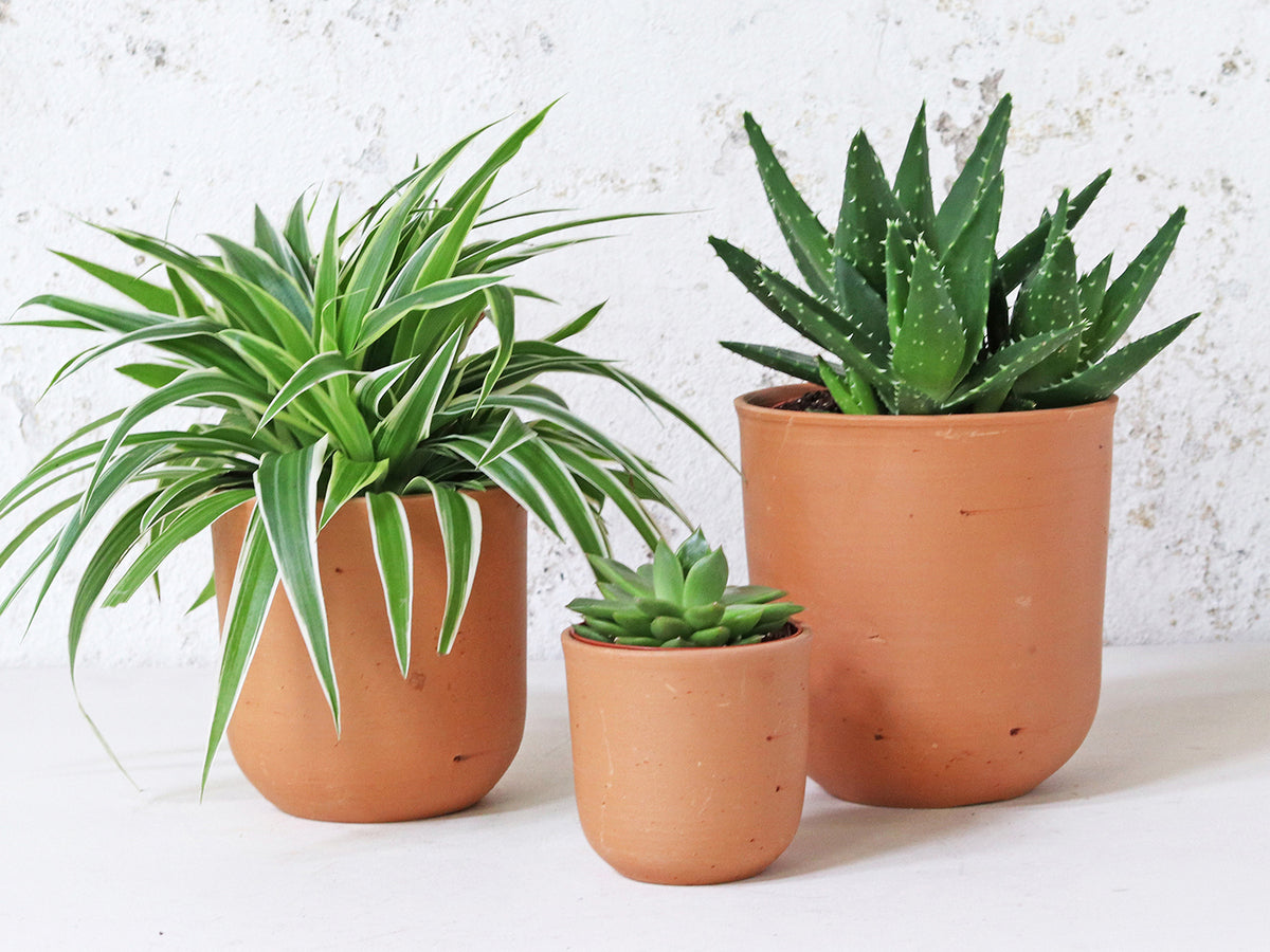 Terracotta Plant Pots - Large and Medium - U curved Terracotta Plant Pots - Large and Medium - U curved