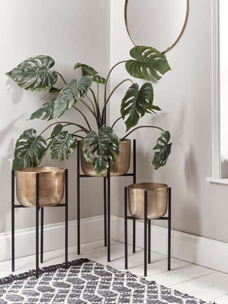 Three Standing Brass Planters