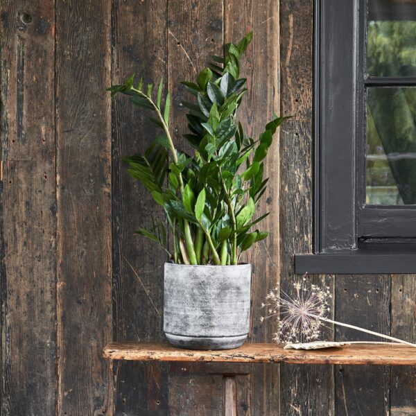 Tivoli Earth Plant Pot Earth (Brown)
