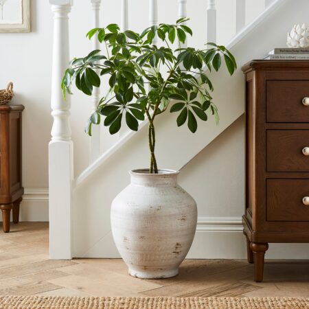 Traditional Stone Vase Concrete Effect