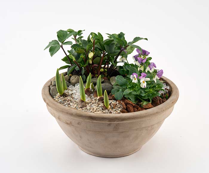 Udendørs forårsdekoration af planter og løg - Send blomster med Bloomit Udendørs forårsdekoration af planter og løg - Send blomster med Bloomit