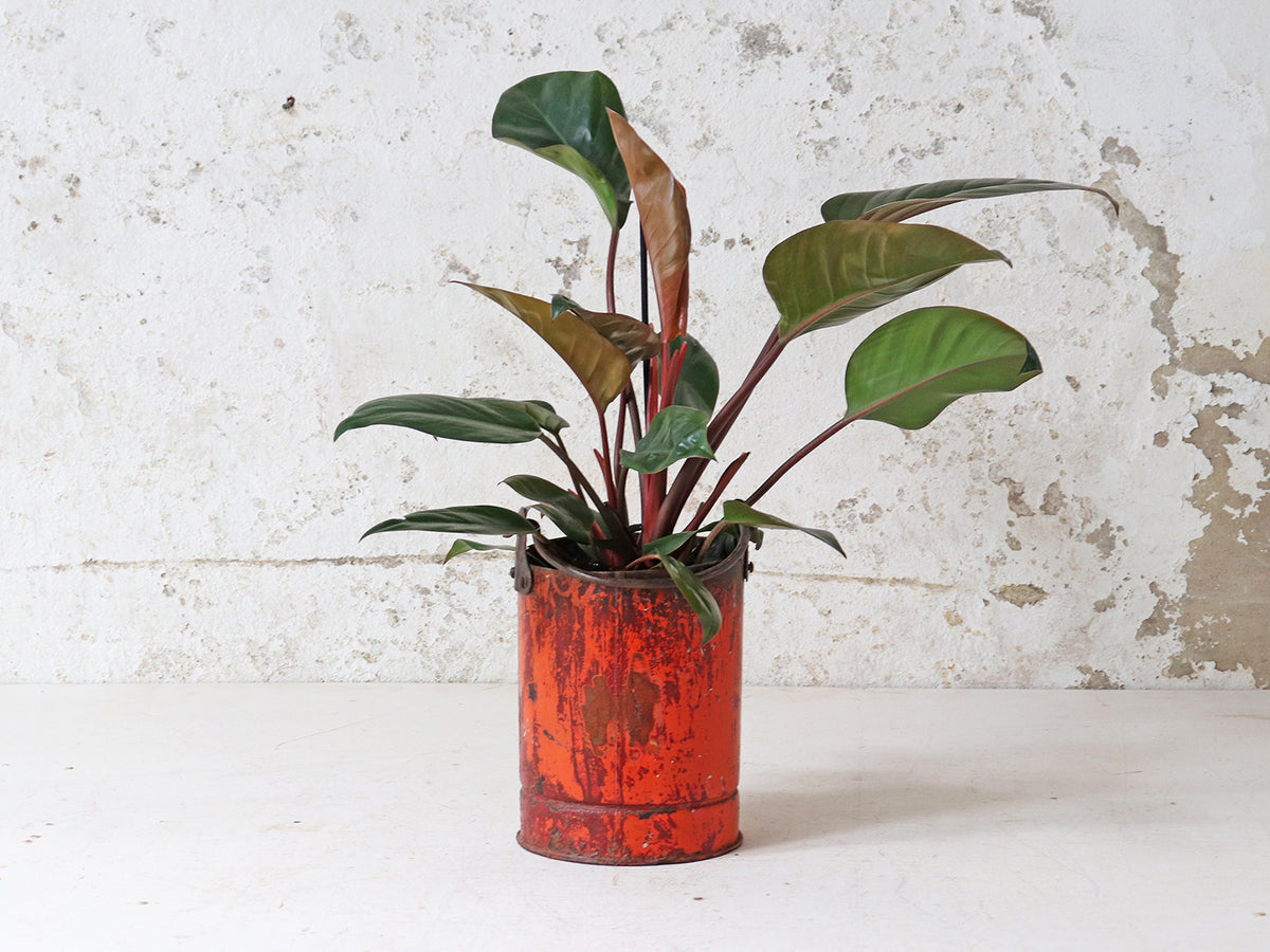 Upcycled Metal Planter Upcycled Metal Planter