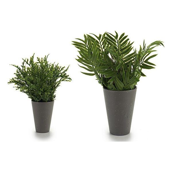Urtepotte 8430852553010 Grøn Plastik 13 x 25 x 13 cm Urtepotte 8430852553010 Grøn Plastik 13 x 25 x 13 cm