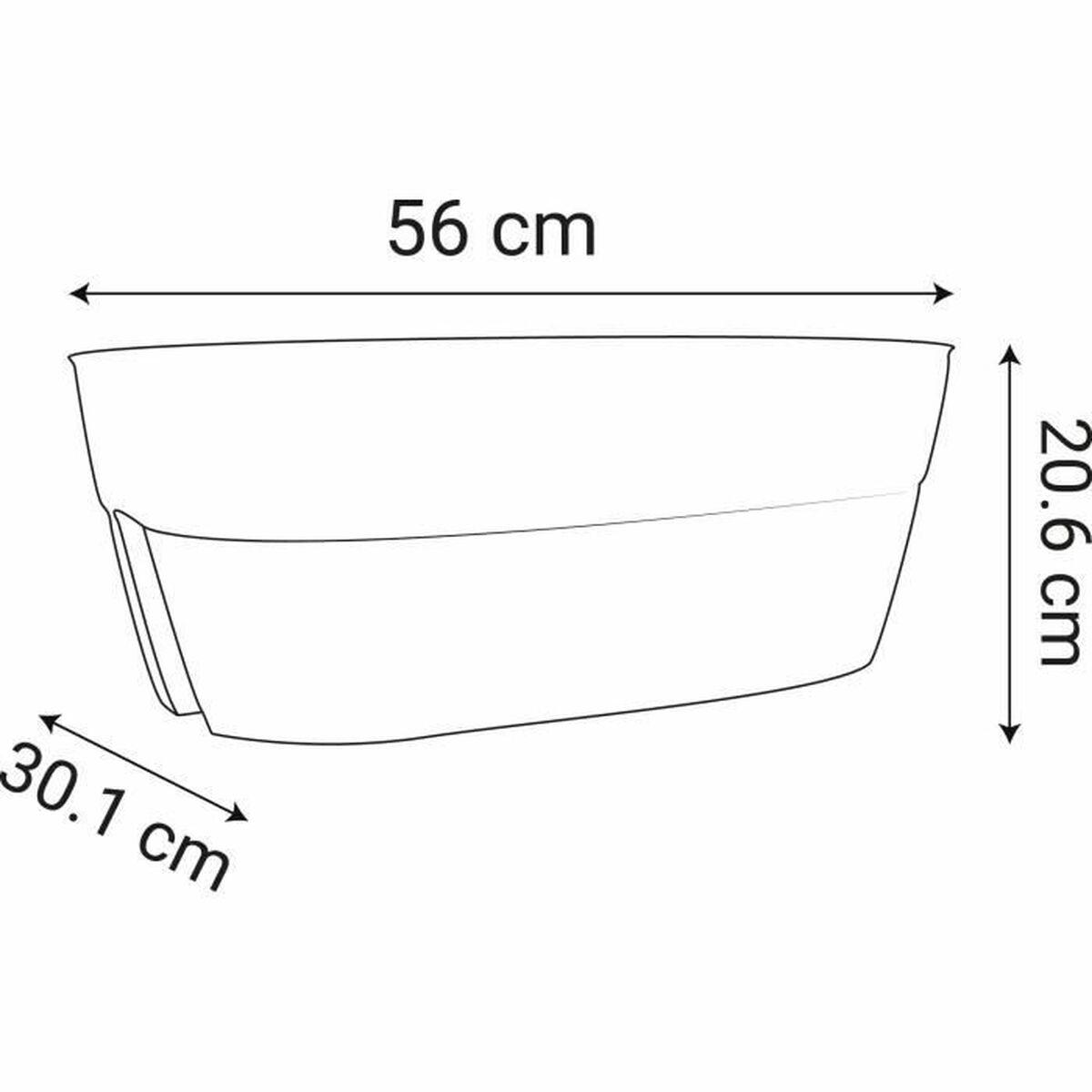 Urtepotte EDA Grå Mørkegrå Plastik Oval Moderne Urtepotte EDA Grå Mørkegrå Plastik Oval Moderne