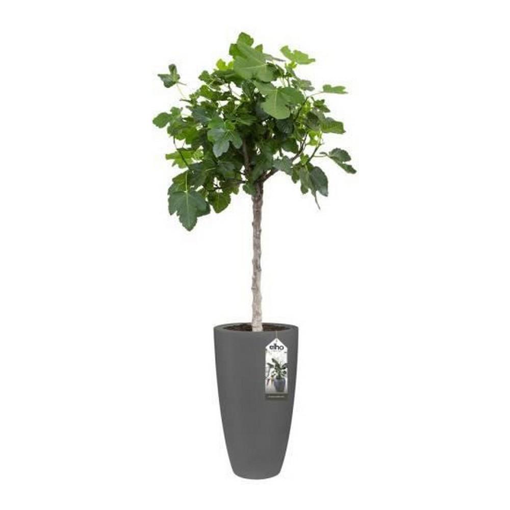 Urtepotte Elho 8400212542500 Antracit Plastik Cirkulær Ø 35 cm Ø 34,5 x 61,5 cm Urtepotte Elho 8400212542500 Antracit Plastik Cirkulær Ø 35 cm Ø 34,5 x 61,5 cm