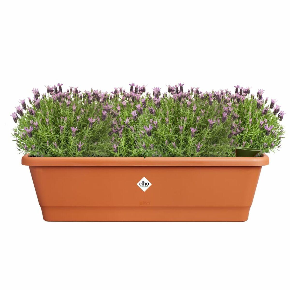 Urtepotte Elho Brun 65 x 20 x 18 cm Plastik Firkantet Urtepotte Elho Brun 65 x 20 x 18 cm Plastik Firkantet
