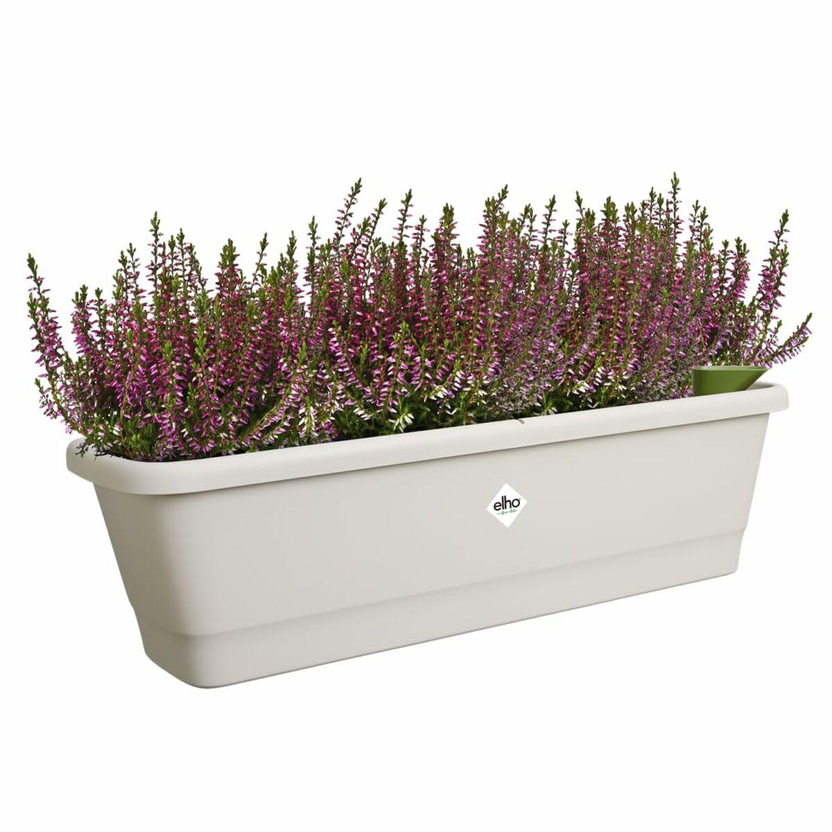 Urtepotte Elho Hvid 20 x 65 x 17 cm Grå Plastik Firkantet Urtepotte Elho Hvid 20 x 65 x 17 cm Grå Plastik Firkantet