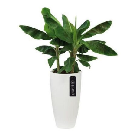 Urtepotte Elho Hvid Plastik Cirkulær Ø 35 cm Ø 34,5 x 61,5 cm