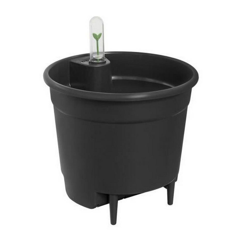 Urtepotte Elho Sort polypropylen Cirkulær Moderne Urtepotte Elho Sort polypropylen Cirkulær Moderne